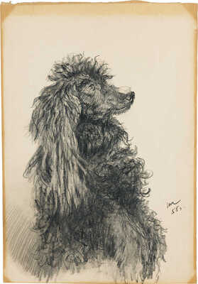 Трошин Николай Степанович. Пудель с сахаром